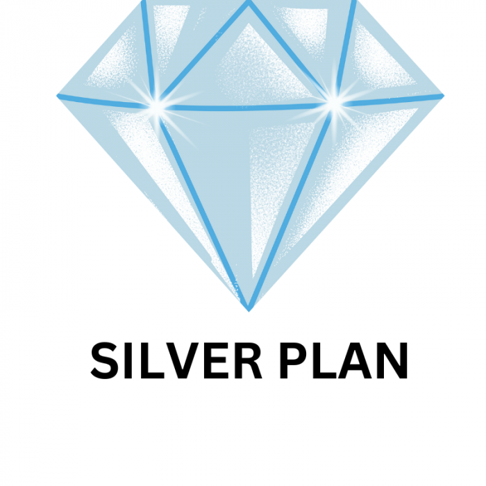 Silver Plan